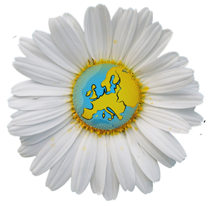 Wildkräuterkosmos Logo